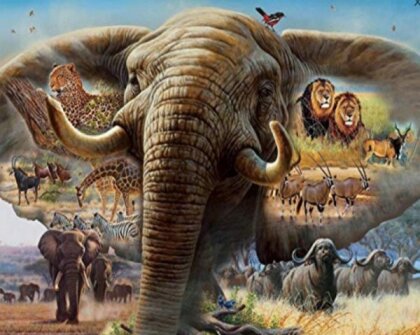 Diamond Painting Elephant with Africa 50x40 cm