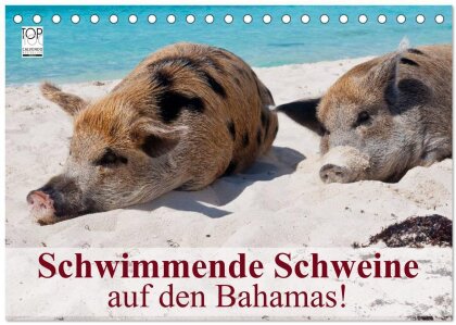 Schwimmende Schweine auf den Bahamas! (Tischkalender 2025 DIN A5 quer) - CALVENDO Monatskalender