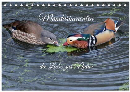 Mandarinenenten, die Liebe zur Natur (Tischkalender 2025 DIN A5 quer) - CALVENDO Monatskalender