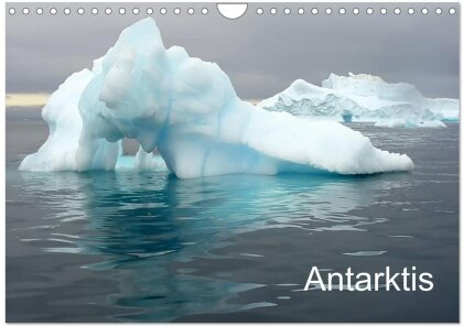 Antarktis (Wandkalender 2025 DIN A4 quer) - CALVENDO Monatskalender