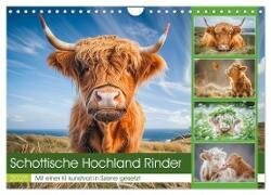Schottische Hochland Rinder (Wandkalender 2025 DIN A4 quer) - CALVENDO Monatskalender