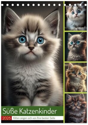 Süße Katzenkinder (Tischkalender 2025 DIN A5 hoch) - CALVENDO Monatskalender