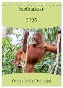 Familienplaner 2025 - Orang Utans im Dschungel (Tischkalender 2025 DIN A5 hoch), CALVENDO Monatskalender