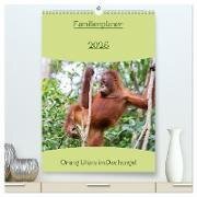 Familienplaner 2025 - Orang Utans im Dschungel (hochwertiger Premium Wandkalender 2025 DIN A2 hoch), Kunstdruck in Hochglanz