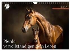 Pferde vervollständigen dein Leben (Wandkalender 2025 DIN A4 quer) - CALVENDO Monatskalender