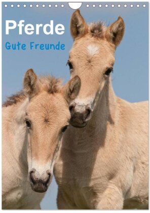 Pferde Gute Freunde (Wandkalender 2025 DIN A4 hoch) - CALVENDO Monatskalender