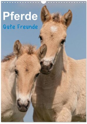 Pferde Gute Freunde (Wandkalender 2025 DIN A3 hoch) - CALVENDO Monatskalender
