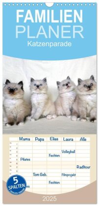 Familienplaner 2025 - Katzenparade mit 5 Spalten (Wandkalender, 21 x 45 cm) CALVENDO