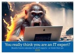 You really think you are an IT expert (Wall Calendar 2025 DIN A3 landscape) - CALVENDO 12 Month Wall Calendar