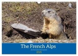 The French Alps, on the trail of the marmot (Wall Calendar 2025 DIN A3 landscape) - CALVENDO 12 Month Wall Calendar