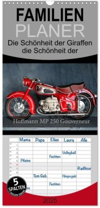 Familienplaner 2025 - Hoffmann MP 250 Gouverneur mit 5 Spalten (Wandkalender, 21 x 45 cm) CALVENDO