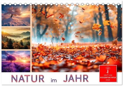 Natur im Jahr (Tischkalender 2025 DIN A5 quer) - CALVENDO Monatskalender