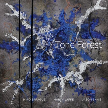 Tone Forest - --- (Digipack)