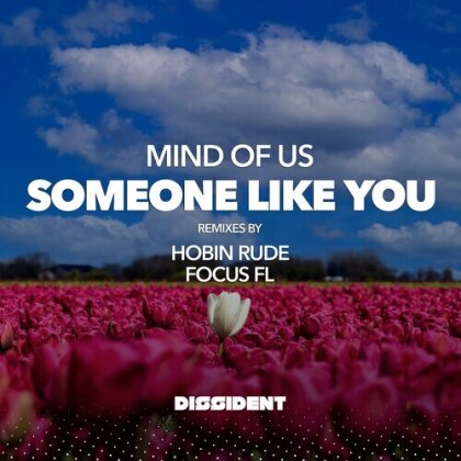 Mind Of Us - Someone Like You (Streaming Version) (CD-R, Manufactured On Demand)