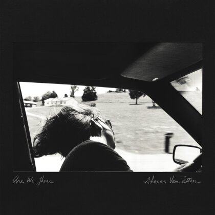 Sharon Van Etten - Are We There (2024 Reissue, 10th Anniversary Edition, LP)