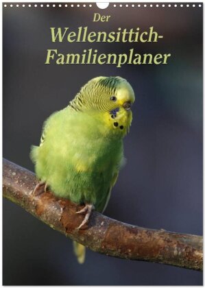 Der Wellensittich-Familienplaner (Wandkalender 2025 DIN A3 hoch) - CALVENDO Monatskalender