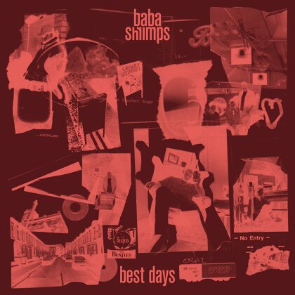 Baba Shrimps - Best Days (10" Maxi)