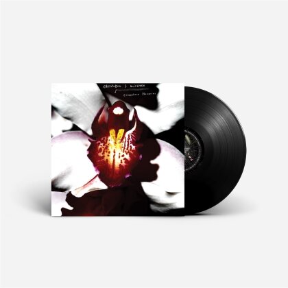 Chrystabell & David Lynch - Cellophane Memories (LP)