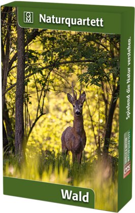 Wald