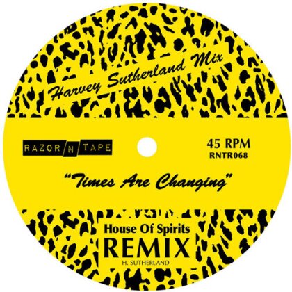 House Of Spirits - Times Are Changing (12" Maxi)
