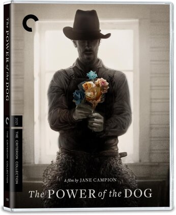 The Power of the Dog (2021) (Criterion Collection, 4K Ultra HD + Blu-ray)