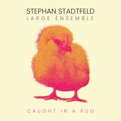 Stephan Stadtfeld & Large Ensemble - Caught in a Rug