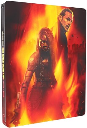 The Walking Dead: The Ones Who Live - TV Mini-Series (Limited Edition, Steelbook, 2 Blu-rays)