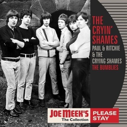 Cryin Shames - Please Stay (LP)