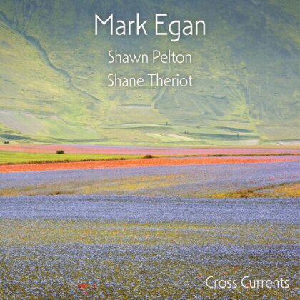 Mark Egan, Shawn Pelton & Shane Theriot - Cross Currents (2 LPs)