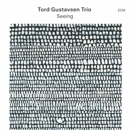 Tord Gustavsen - Seeing