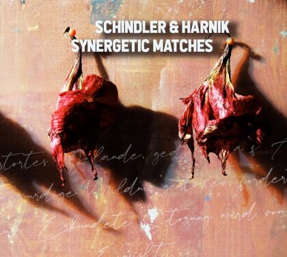 Schindler & Harnik - Synergetic Matches