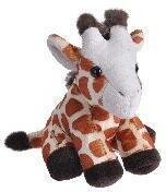 Plüsch Mini Giraffe Pocketkins 13 cm