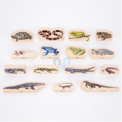 15 reptile and amphibian wooden block figures - TickIt