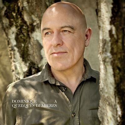 Dominique A - Quelques Lumières (3 LPs)