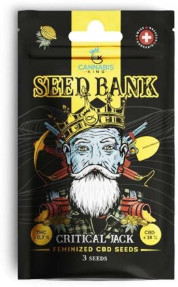 Cannabis King Critical Jack Seeds 3pcs