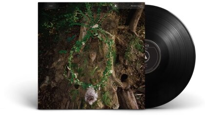 Pharmakon - Maggot Mass (LP)