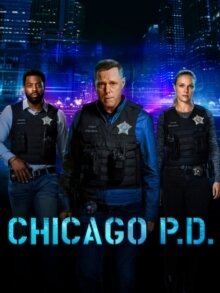 Chicago P.D. - Season 11 (3 DVDs)