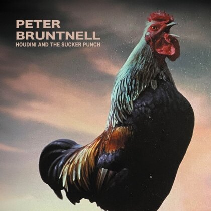 Peter Bruntnell - Houdini And The Sucker Punch (LP)