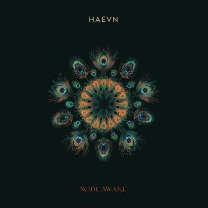Haevn - Wide Awake (Gatefold, Black Vinyl, LP)