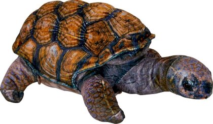 Schildkröte Plüschtiere - Nature Zoom - Spiegelburg-Nr. 22573