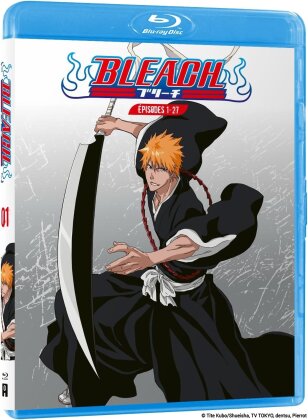 Bleach - Partie 1 (4 Blu-rays)