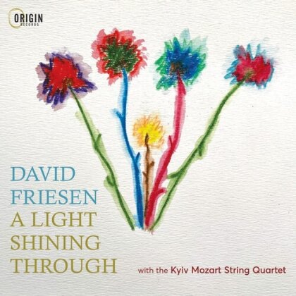 David Friesen - Light Shining Through