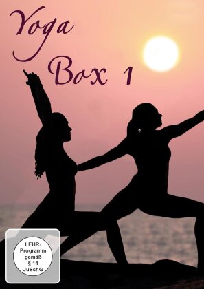 Yoga Box 1 (Bundle, 6 DVDs)