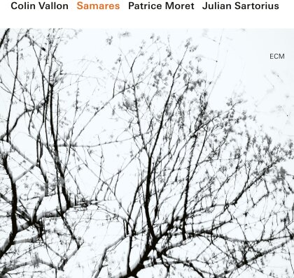 Colin Vallon - Samares