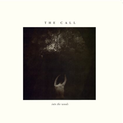 The Call - Into The Woods (2024 Reissue, Music On Vinyl, limited to 750 copies, White Vinyl, LP)