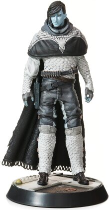 Destiny: The Crow - Figur