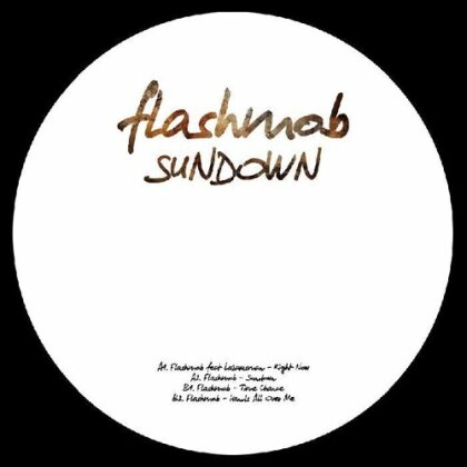 Flashmob - Sundown Album Sampler (12" Maxi)