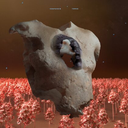 Soap & Skin - Torso (LP)