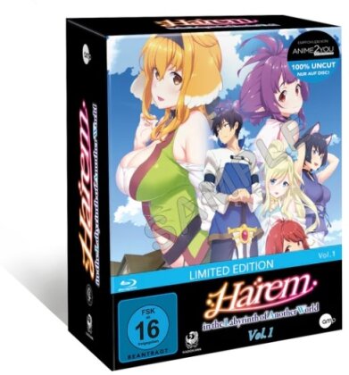 Harem in the Labyrinth of Another World - Vol. 1 (Limited Edition, Uncut)