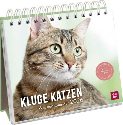 Wochenkalender 2026 - Kluge Katzen